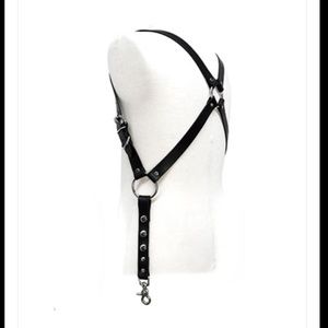 Suspender Harness, new, from Leather Etc SF